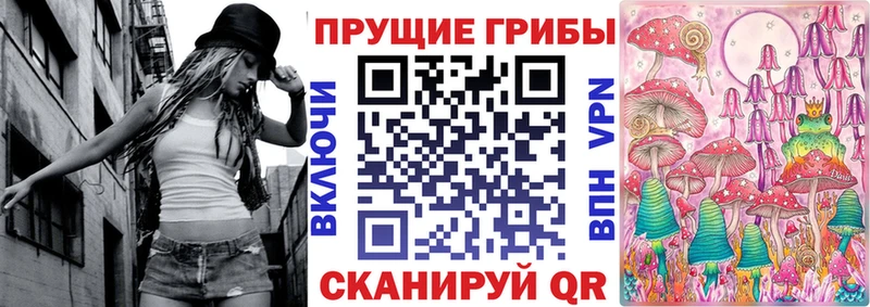 MEGA онион  площадка формула  Псилоцибиновые грибы прущие грибы  купить закладку  Новый Оскол 