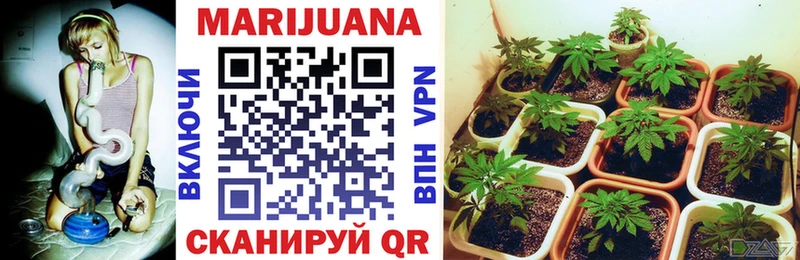 Шишки марихуана Ganja Новый Оскол